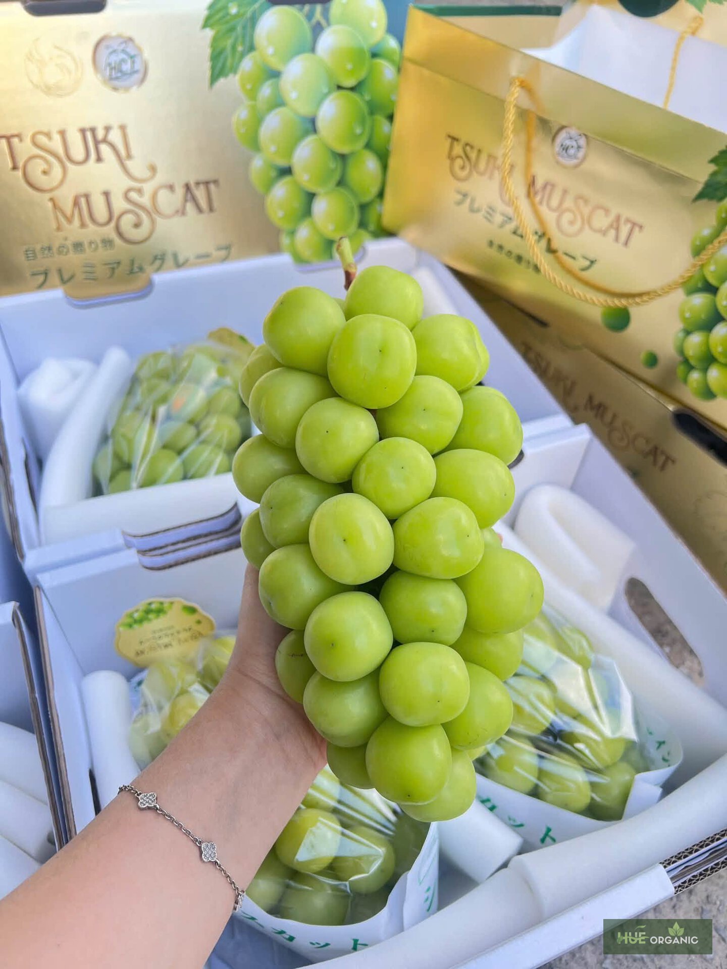 Nho mẫu đơn Shine Muscat nhập khẩu